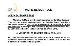 Affiche vœux du Maire